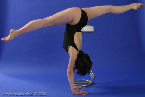 Name of gymnastic Movements